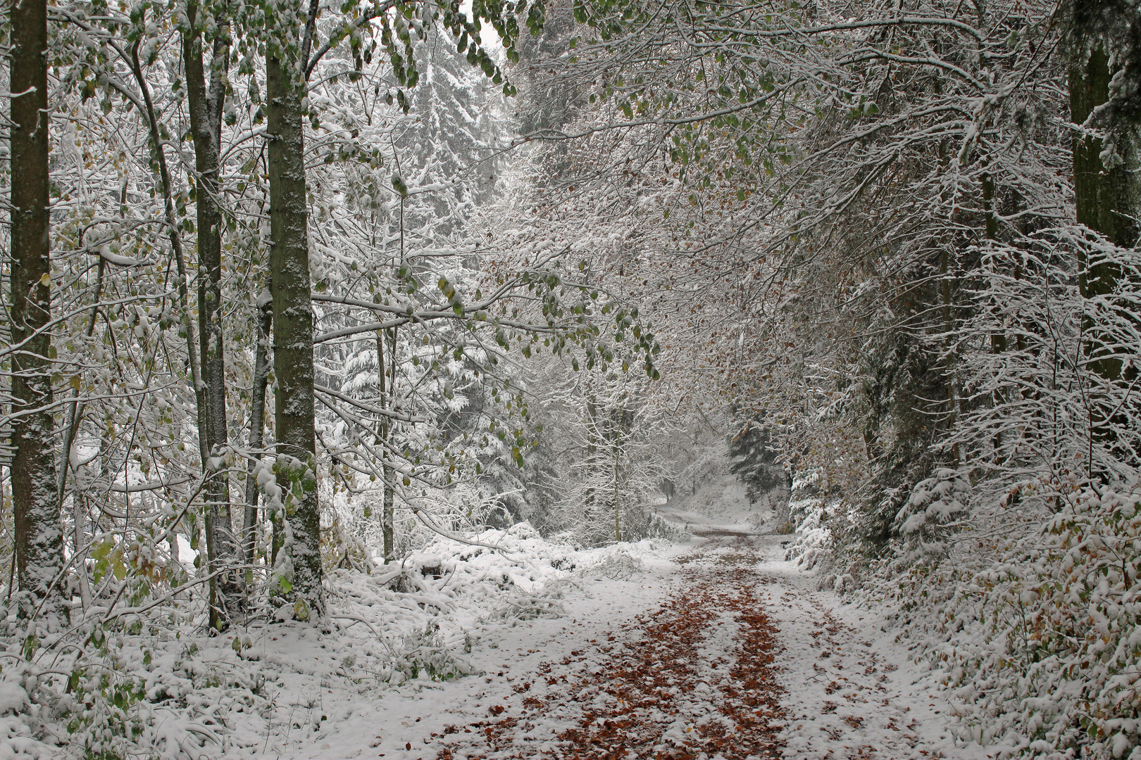 Wintereinbruch