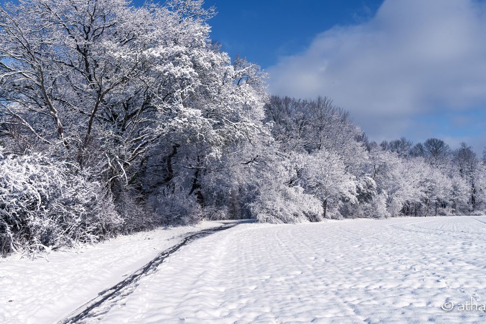 Wintereinbruch