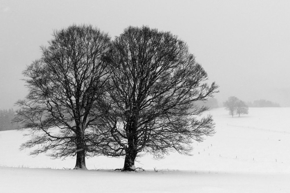 Wintereinbruch