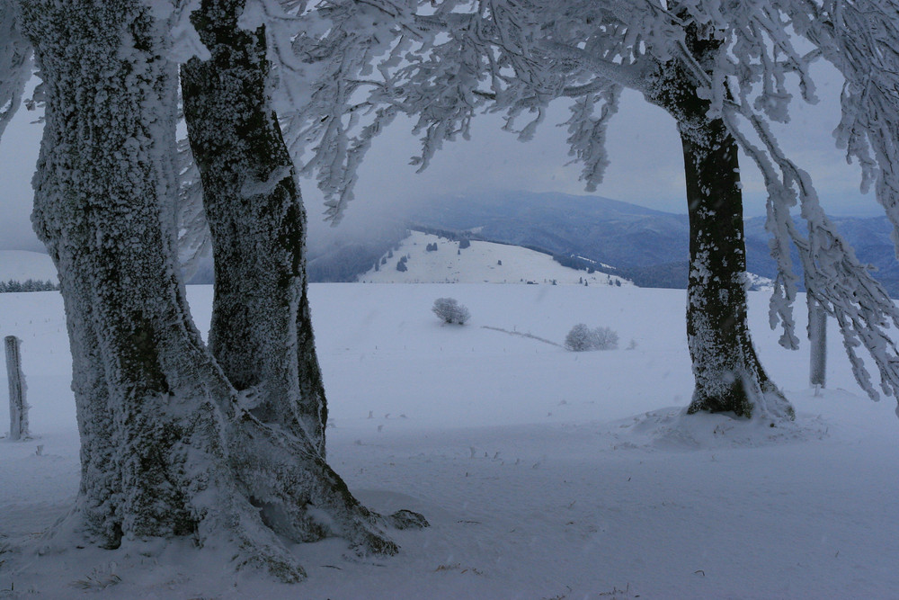 Wintereinbruch