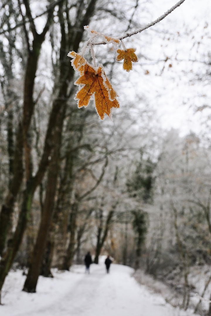 Wintereinbruch