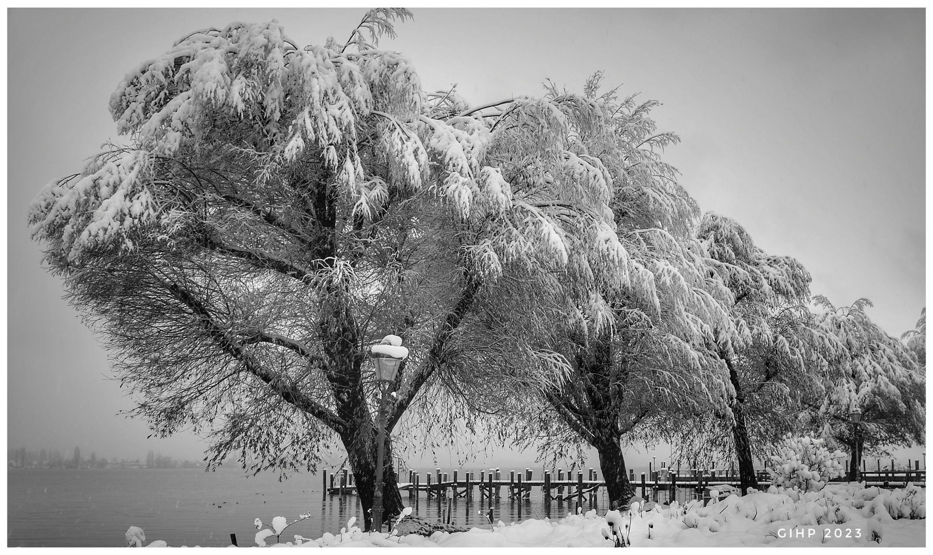 Wintereinbruch Allensbach am Gnadensee