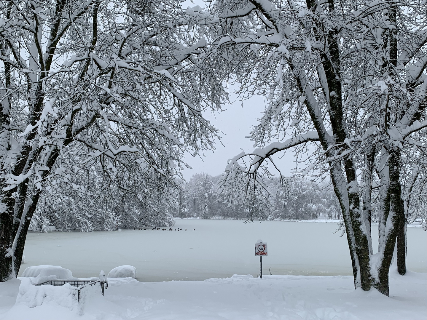 Wintereinbruch - alles zugefroren!