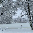 Wintereinbruch - alles zugefroren!