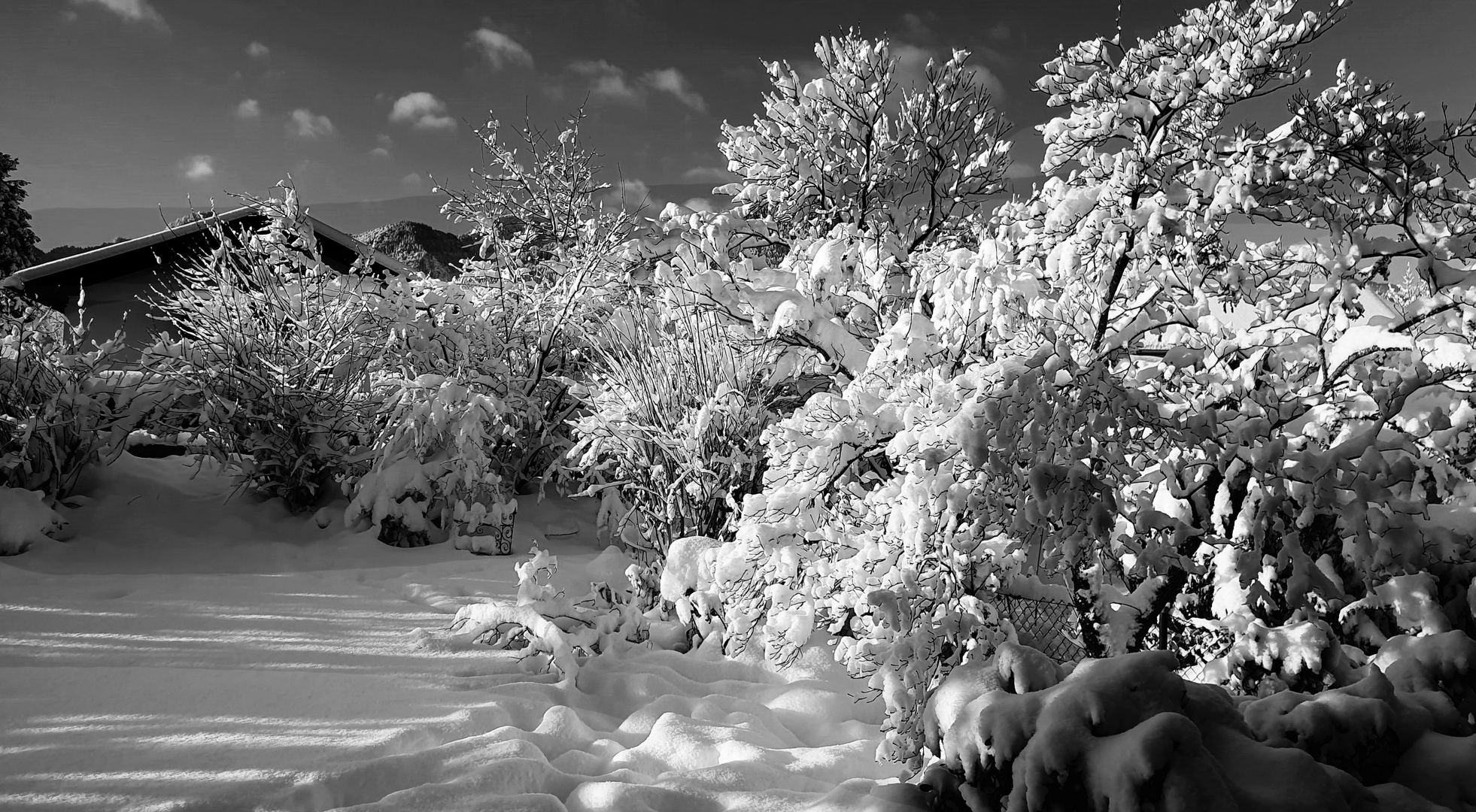 Wintereinbruch am 1.12.2023