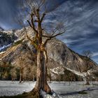 Wintereinbruch am Ahornboden im Karwendel