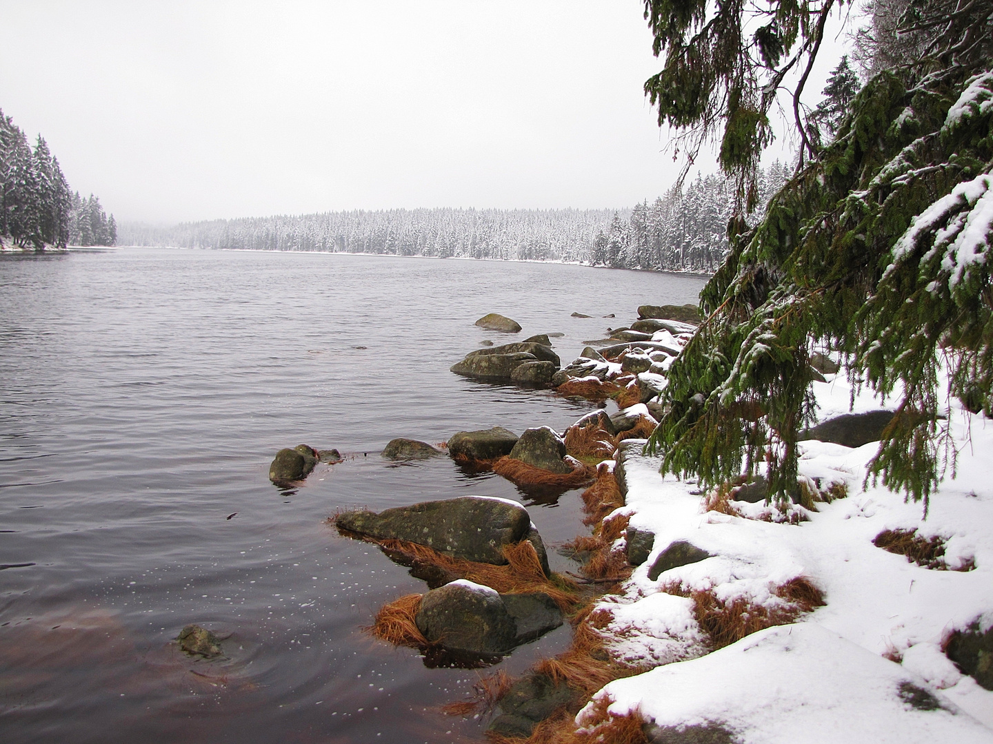 Wintereinbruch am Oderteich