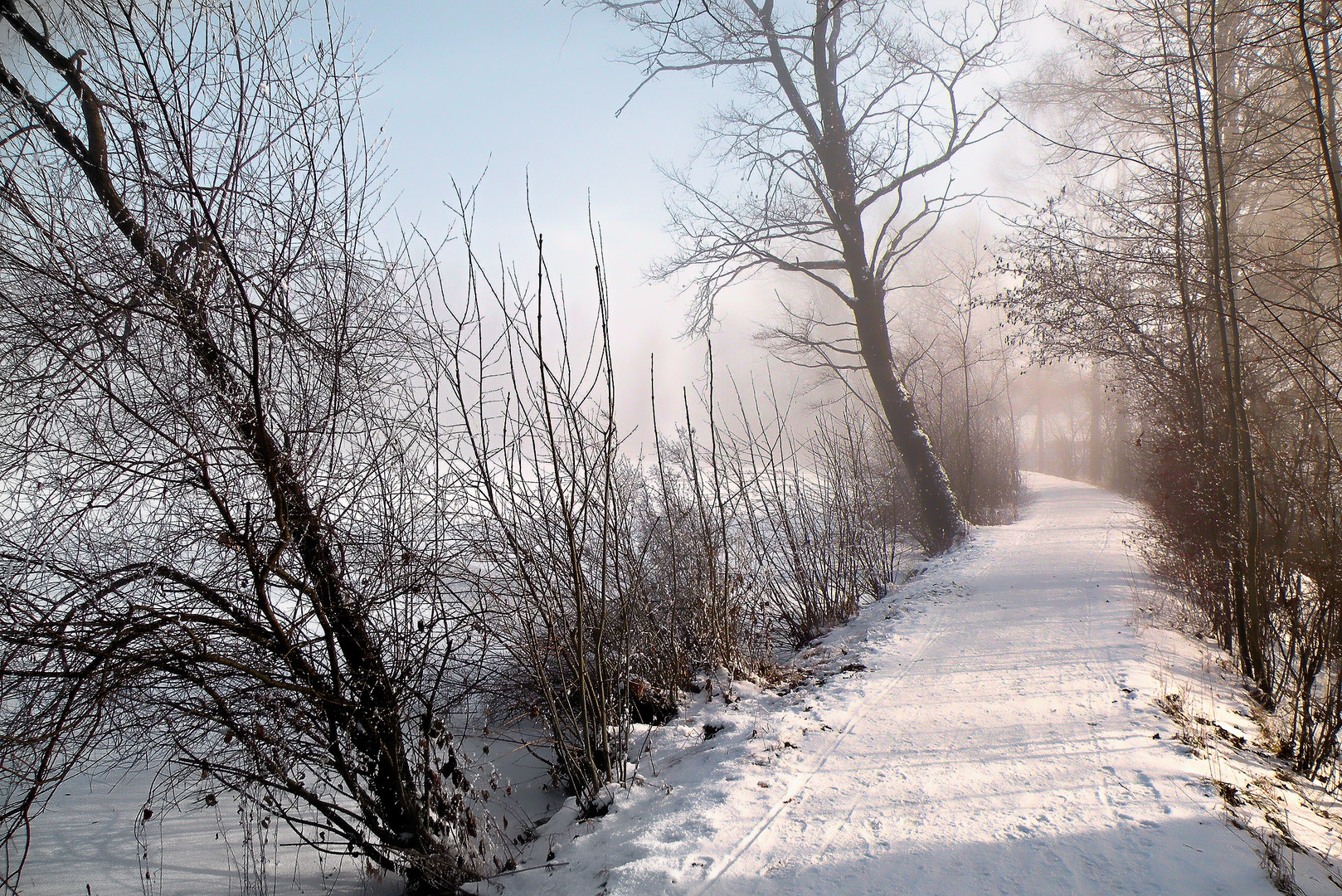 Wintereinbruch am Sternenweiher