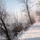 Wintereinbruch am Sternenweiher