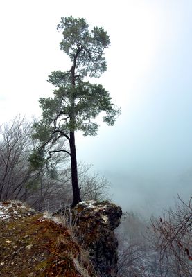 Wintereinbruch am Zeller Horn