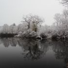 Wintereinbruch an der Enz