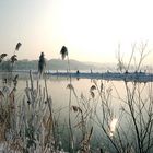 Wintereinbruch an der Saale