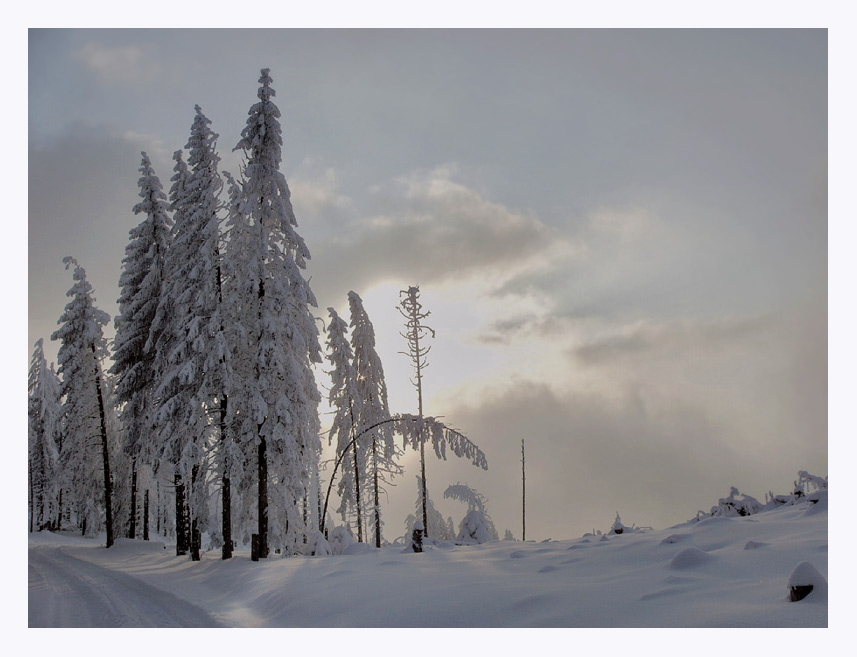 wintereinbruch auch im schwarzwald