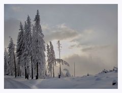 wintereinbruch auch im schwarzwald