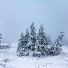 Wintereinbruch auf dem Brocken