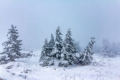 Wintereinbruch auf dem Brocken