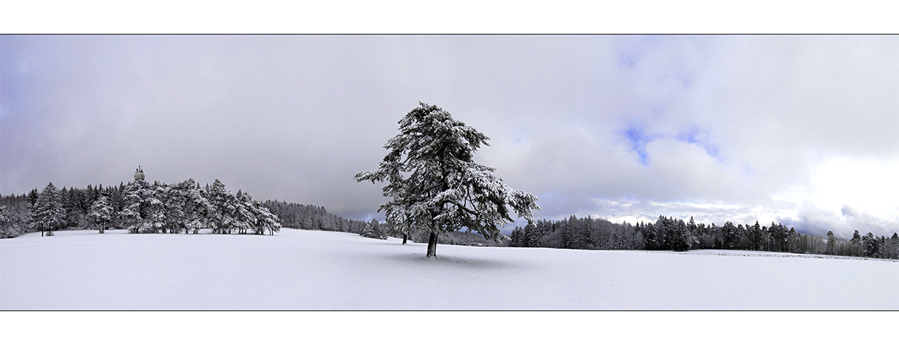 Wintereinbruch auf dem Randen