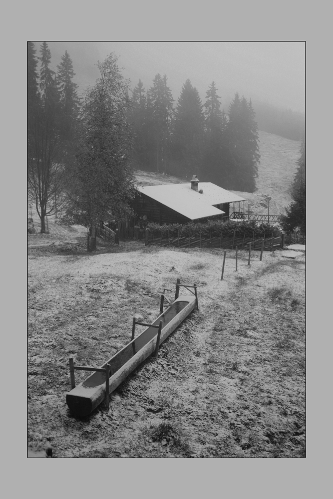 Wintereinbruch auf der Alp Feldmöser