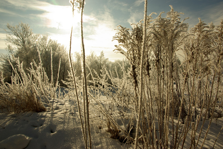 Wintereinbruch