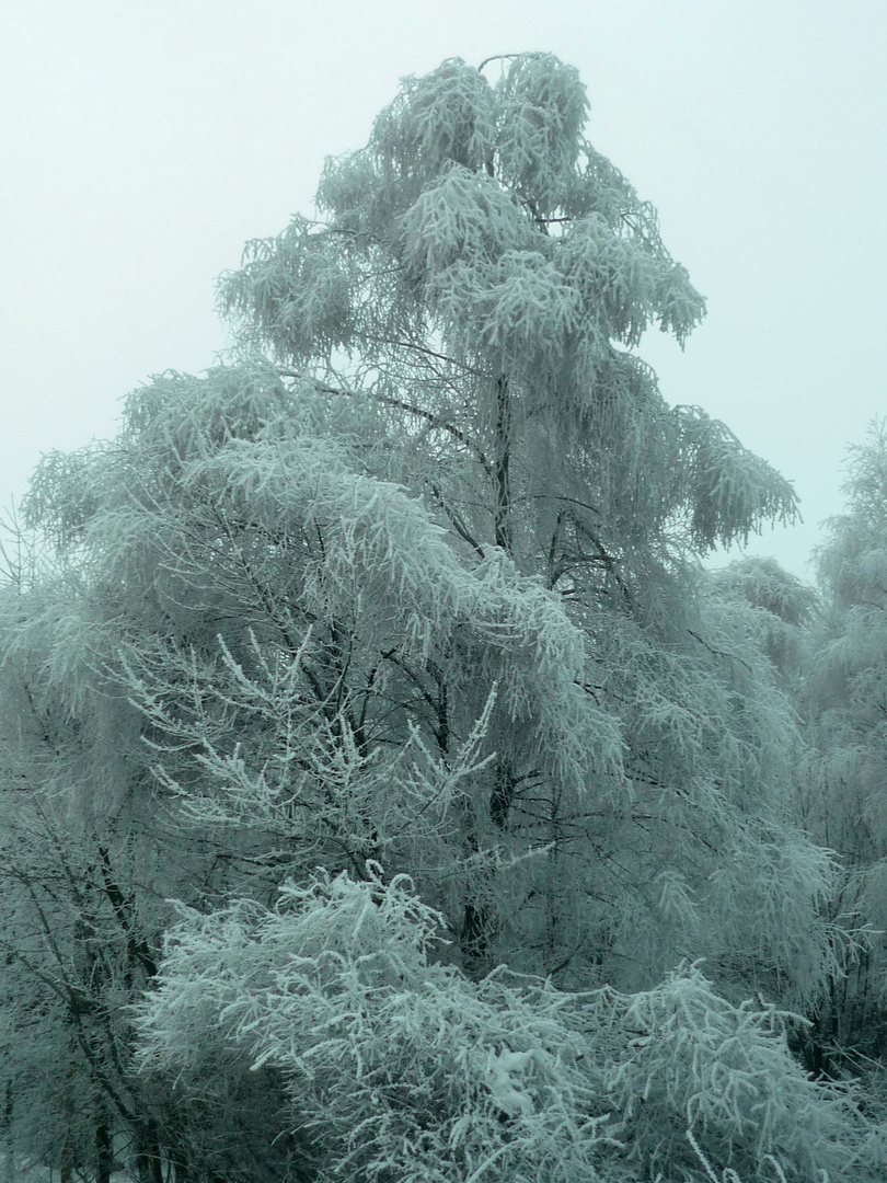 Wintereinbruch