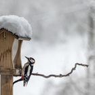 Wintereinbruch beim ...