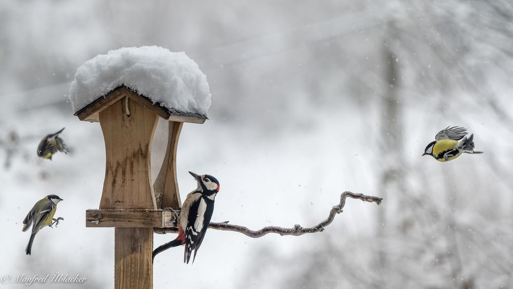 Wintereinbruch beim ...