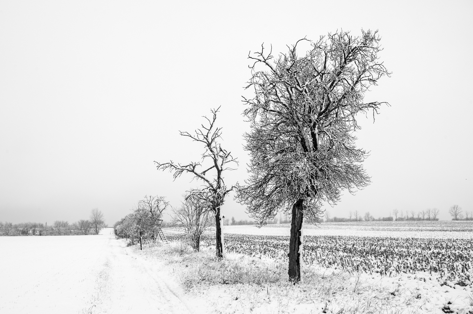 Wintereinbruch