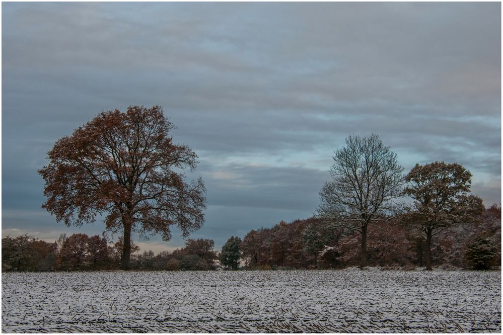 Wintereinbruch