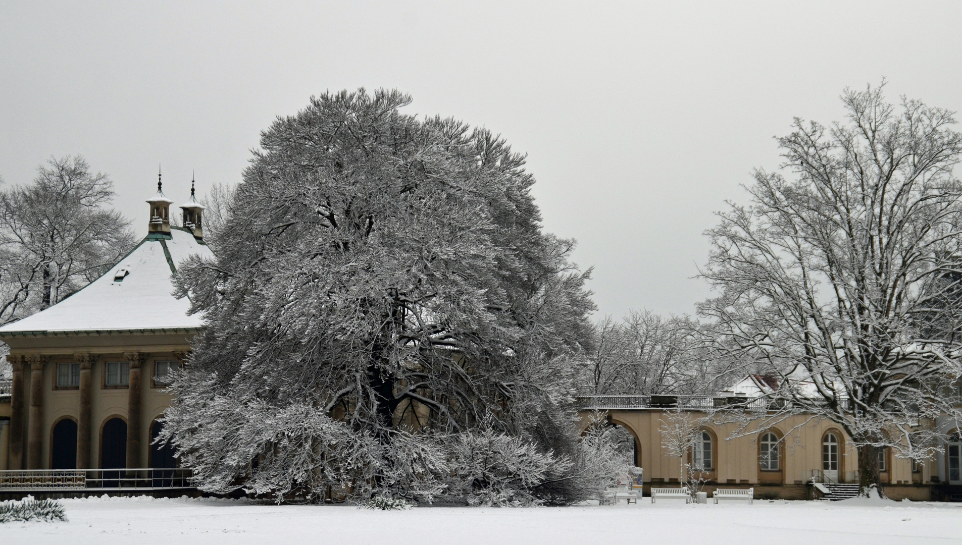 Wintereinbruch