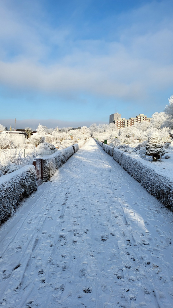 Wintereinbruch.