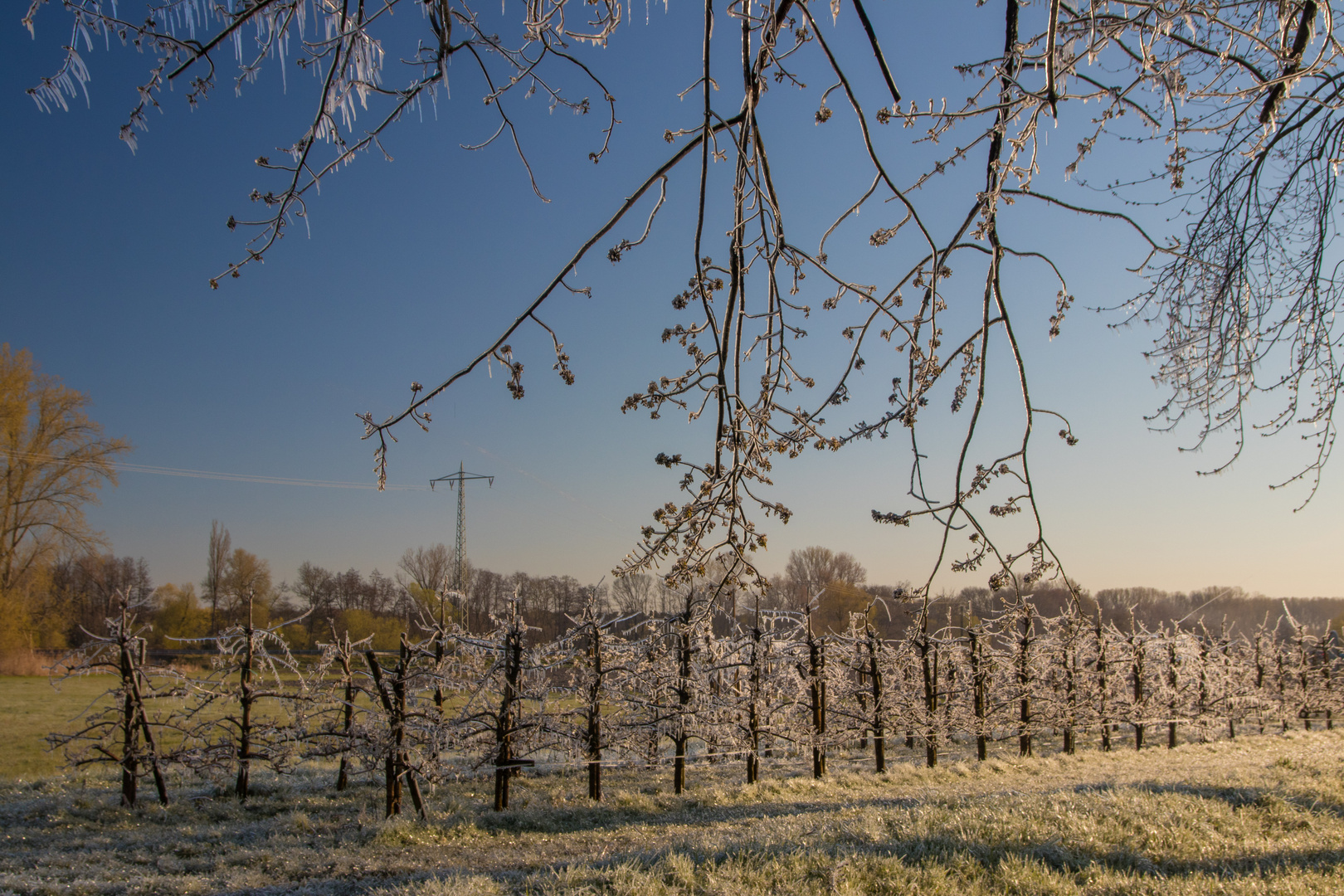 Wintereinbruch der dritten Art