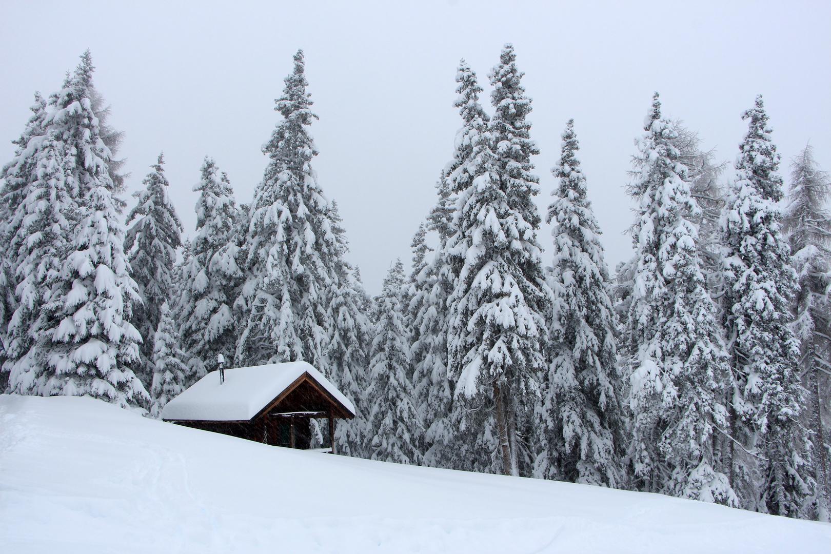 Wintereinbruch