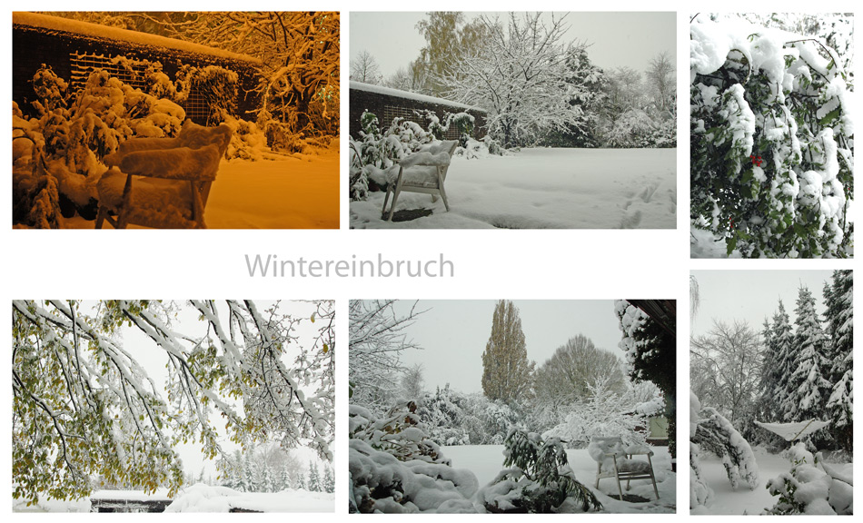 Wintereinbruch