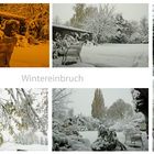 Wintereinbruch