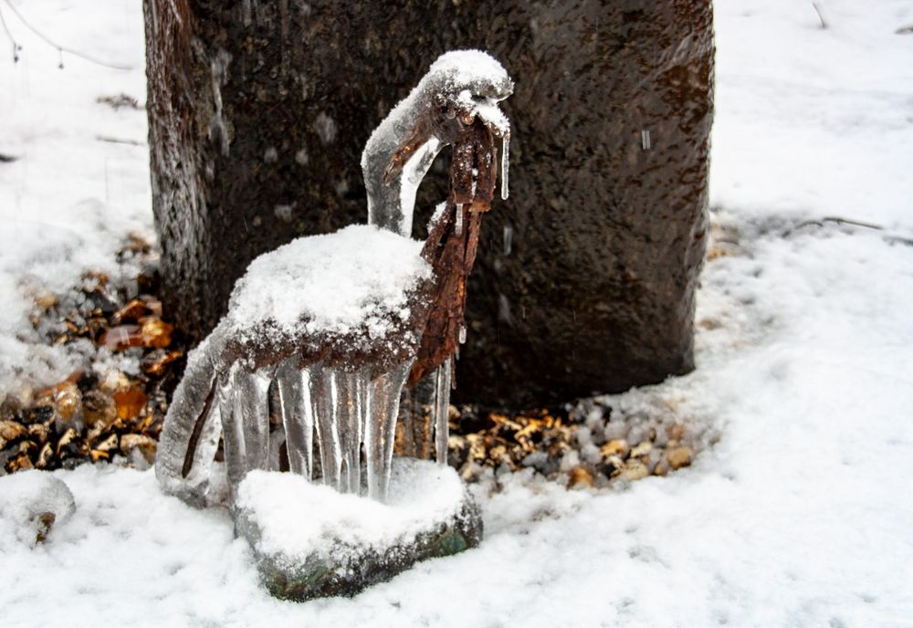 Wintereinbruch - erster Schneefall