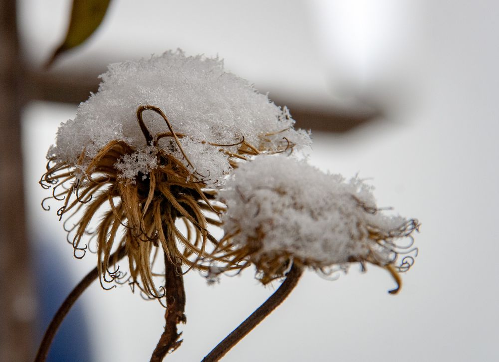 Wintereinbruch - erster Schneefall