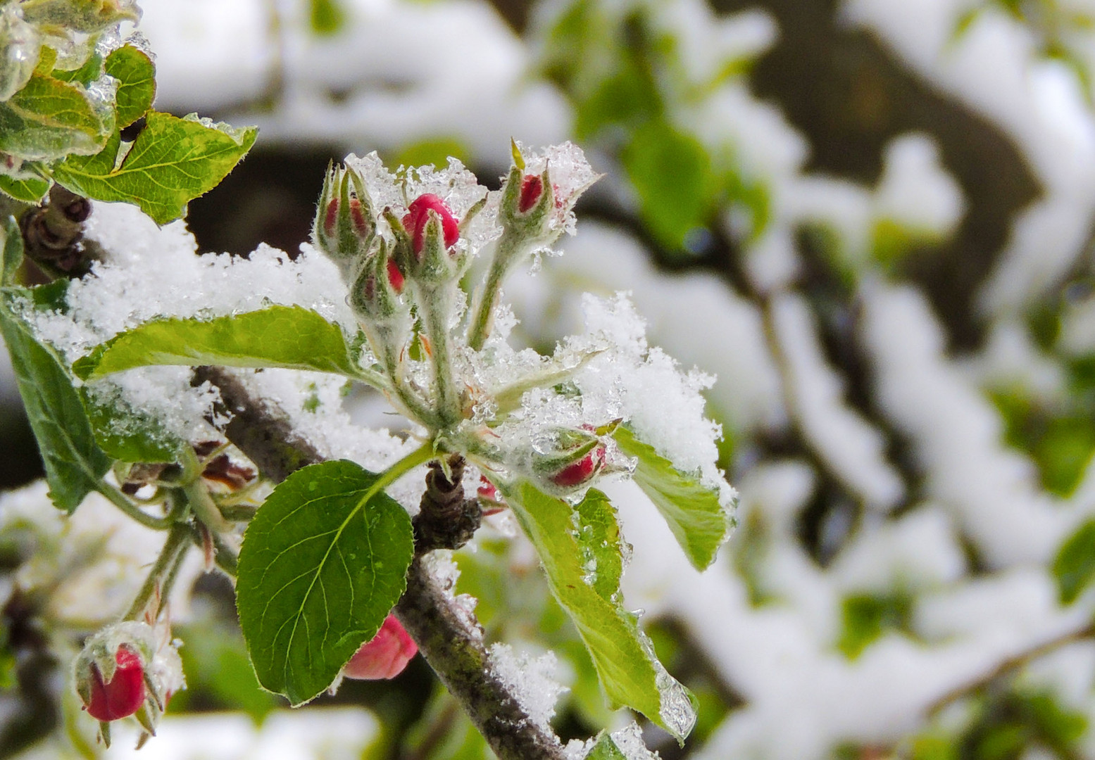 Wintereinbruch