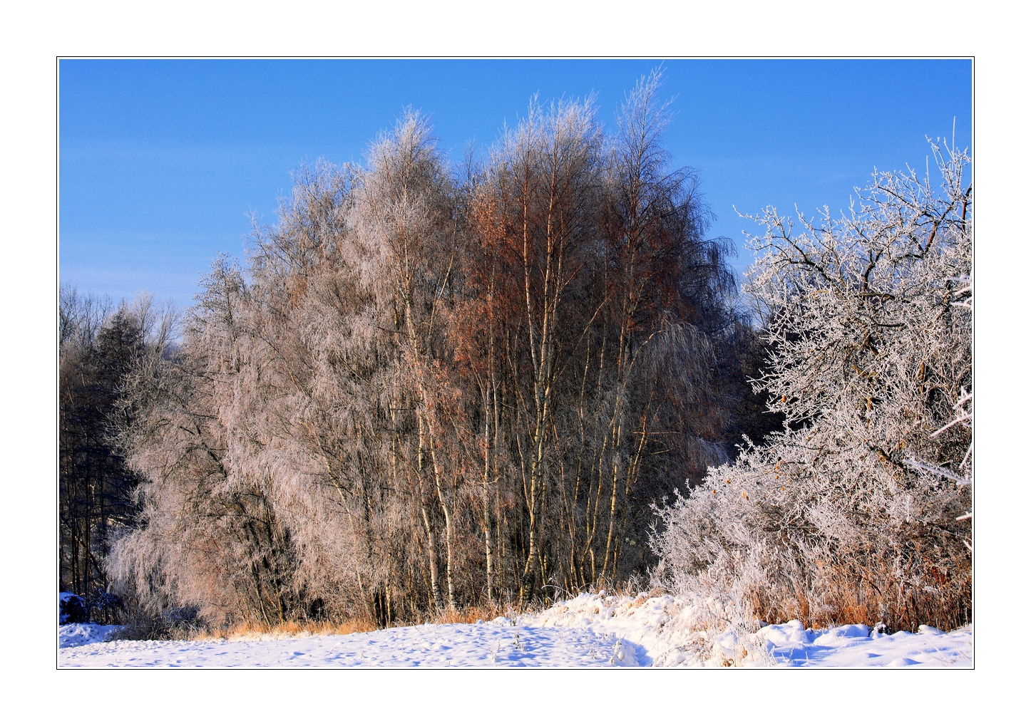 Wintereinbruch