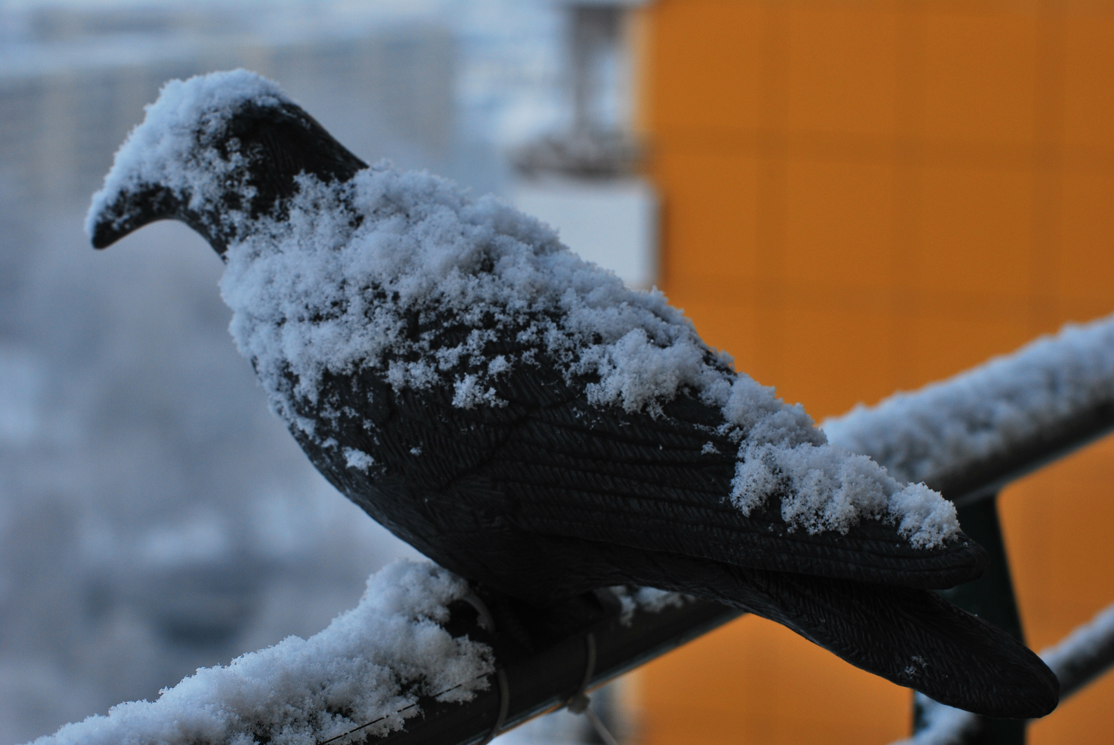 Wintereinbruch für zwei Stunden 2