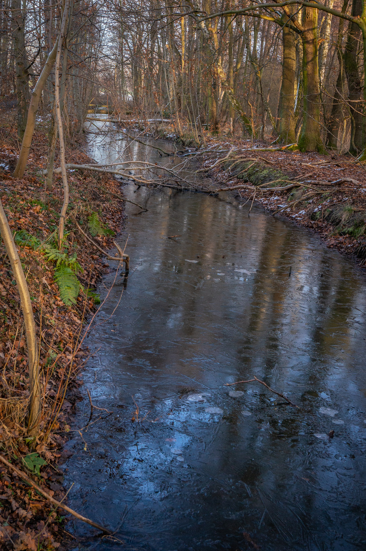 Wintereinbruch I - Braunschweig-Riddagshausen