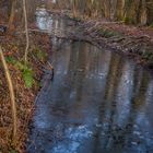 Wintereinbruch I - Braunschweig-Riddagshausen