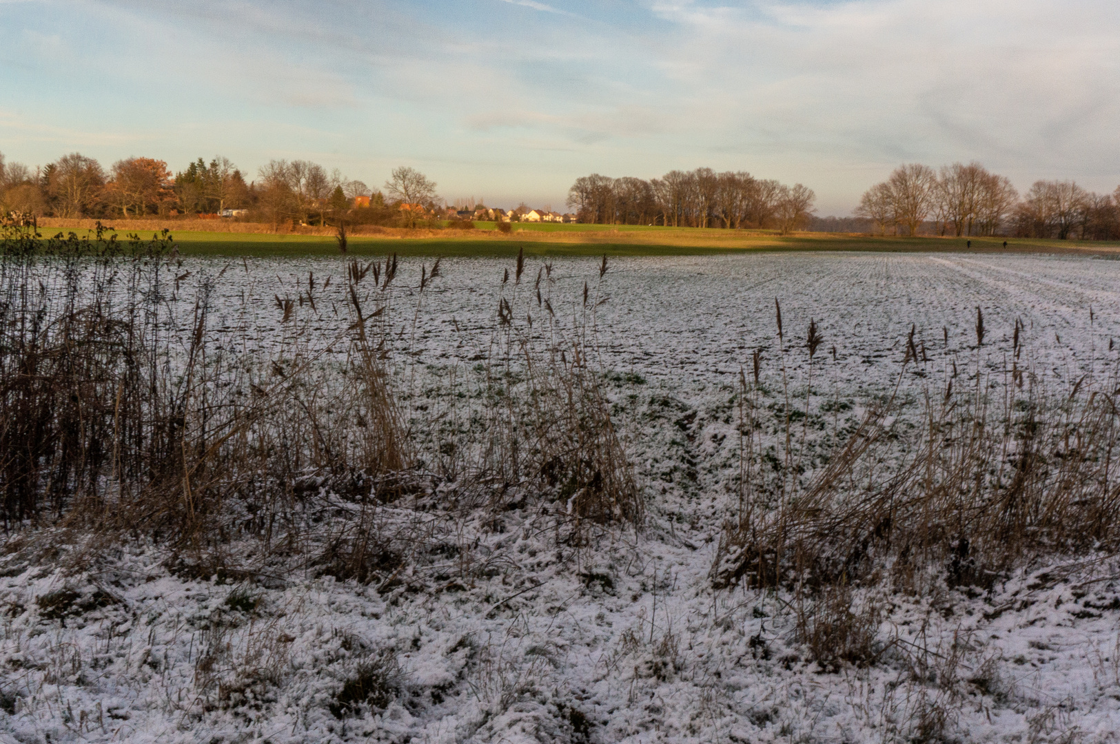 Wintereinbruch III - Braunschweig-Riddagshausen