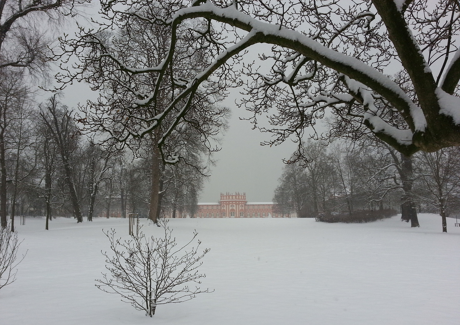 Wintereinbruch im Biebricher Schlosspark 1