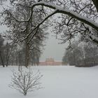 Wintereinbruch im Biebricher Schlosspark 1