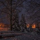 Wintereinbruch im Burggarten...