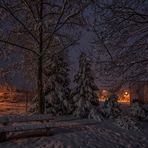 Wintereinbruch im Burggarten...