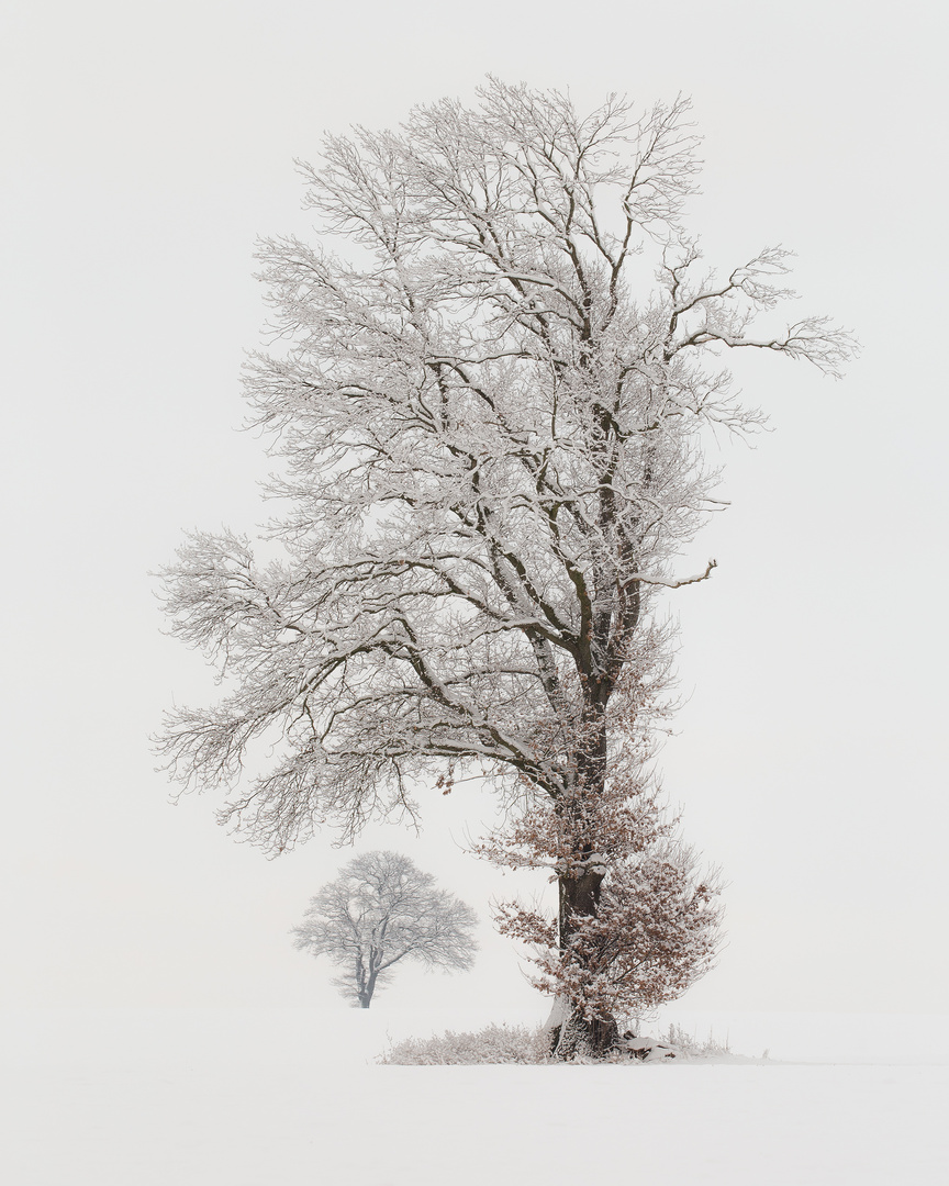 Wintereinbruch im Erzgebirge