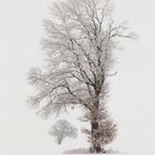 Wintereinbruch im Erzgebirge