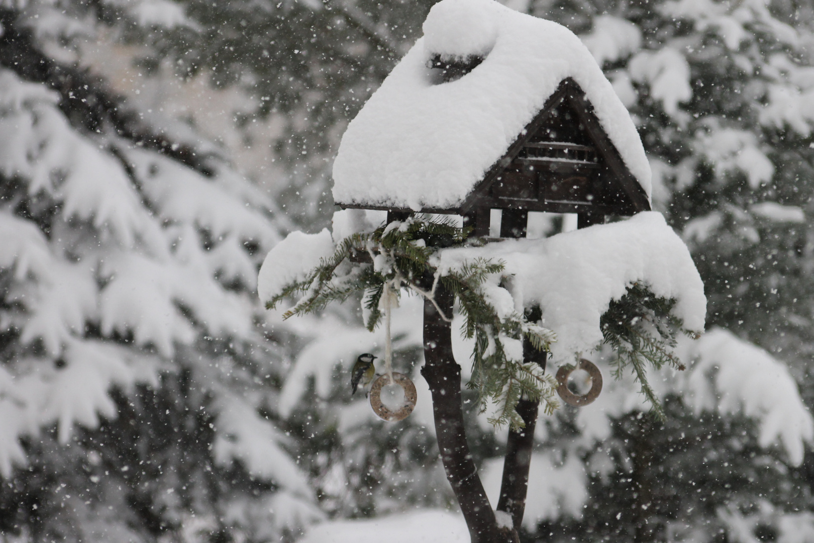 Wintereinbruch im Erzgebirge