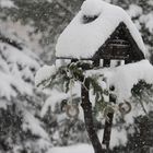 Wintereinbruch im Erzgebirge